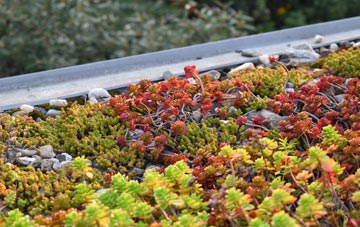 the cost of Santon Bridge green roof installation