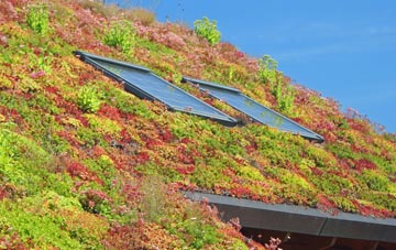 Santon Bridge living roof systems